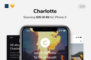 明亮和新鲜iOS UI工具包[PS&SKETCH] Charlotte iOS UI Kit