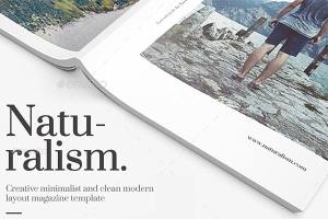创造性的极简主义杂模板下载 Naturalism Magazine[indd]