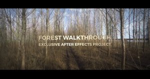 漫步森林第一人称视觉3D效果AE模板 Forest Walkthrough