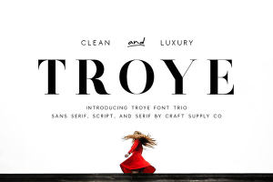 干净&奢华的特洛伊字体三重奏 Troye Font Trio [jpg,otf,ttf]