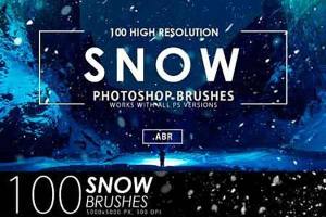 100个逼真雪花的PS笔刷 100 Snow Photoshop Brushes [abr]