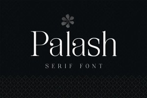 美丽优雅的标题标志设计适用英文衬线字体 Palash – Serif Font
