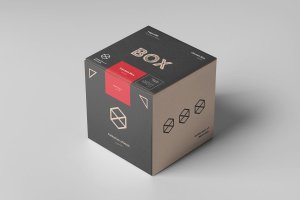 正方体纸箱包装箱样机模板 Carton Box Mockup 100x100x100