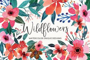 艳丽野花水彩插画集 Wildflowers Watercolor Collection