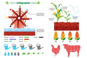 农场可视化数据信息图表设计素材 Farm – Infographic