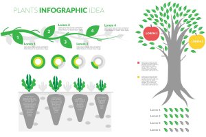 卡通风格植物主题信息图表创意素材 Plants Theme Infographic