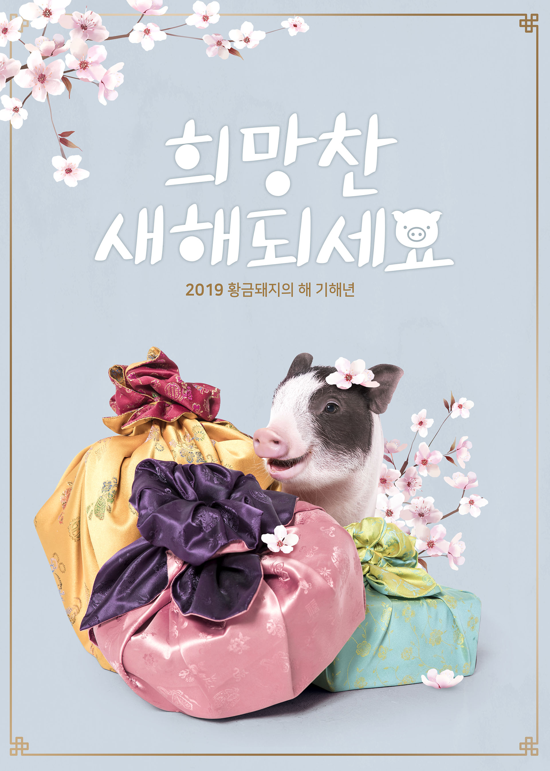 可爱富贵且时尚的猪年新年海报模板PSD