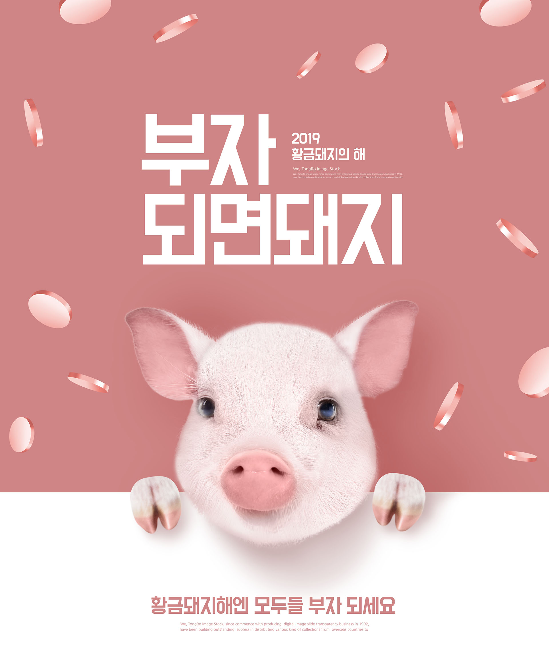 时尚漂亮的猪年海报模板PSD
