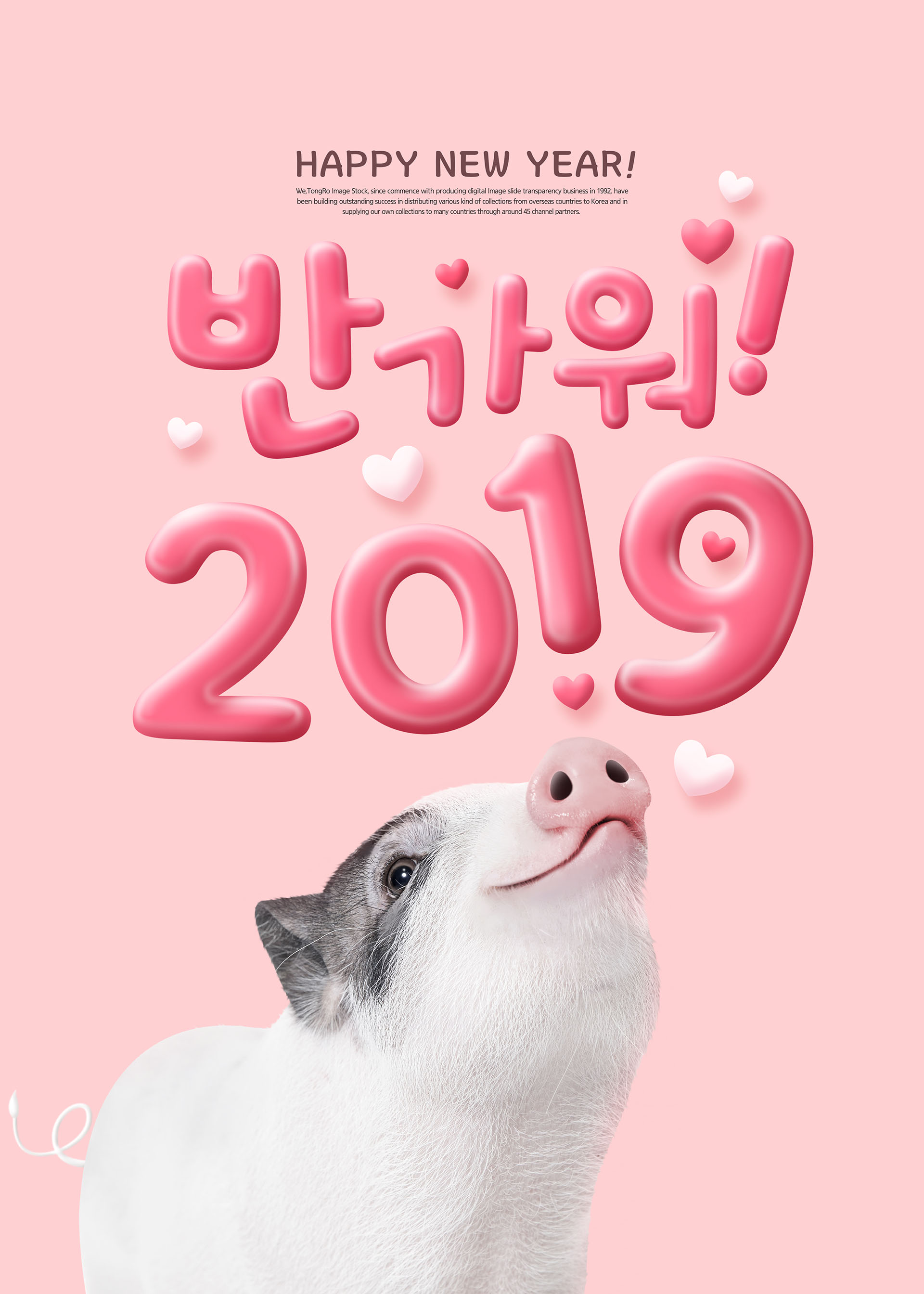 可爱富贵且时尚的猪年新年海报模板PSD