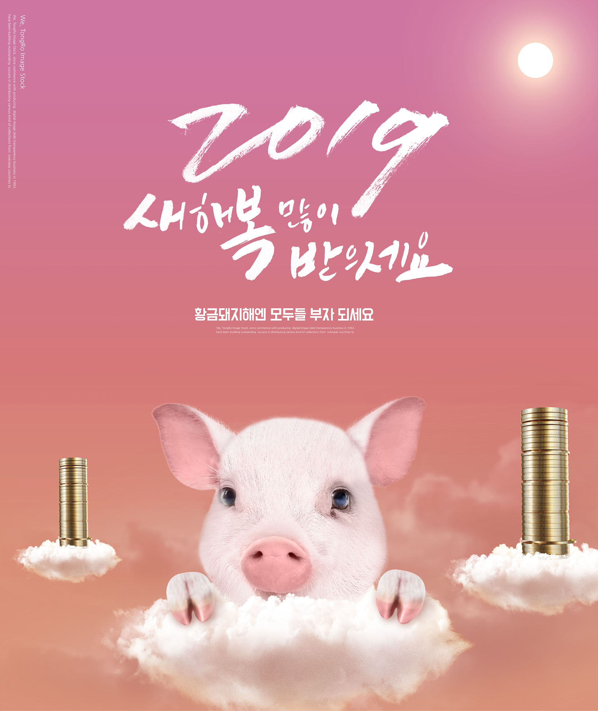 时尚漂亮的猪年海报模板PSD