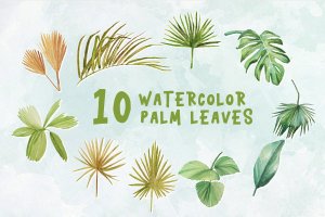 绿色植物棕榈叶水彩插画设计素材 10 Watercolor Palm Leaves Illustration Graphics