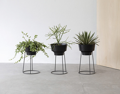 JAVA Plant stand for T44 studio