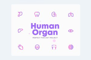 人体器官图形图标素材[AI, EPS, XD] UICON Human Organ Icons