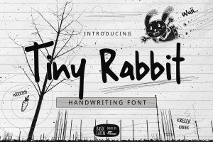 小兔子手写字体Tiny Rabbit Handwriting Font