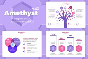 高质量PPT幻灯片设计信息图表矢量模板v3 Amethyst V3 – Infographic