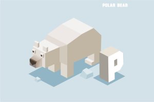 “P”北极熊动物词汇英文字母2.5D插画素材 P for Polar bear. Animal Alphabet