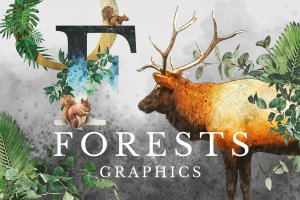 奇幻森林元素手绘插画元素合集 Forest Illustrations Graphics Kit