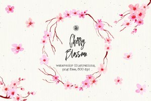 樱花水彩手绘插画设计素材 Cherry Blossom Flowers