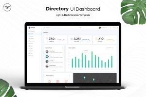 目录管理后台仪表盘设计UI套件 Directory Admin Dashboard UI Kit