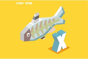 字母X脂鲤鱼动物英文字母识字卡片设计2.5D矢量插画素材 X for X-ray tetra. Animal Alphabet