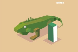 “I”鬣蜥动物词汇英文字母2.5D插画素材 I for iguana. Animal Alphabet