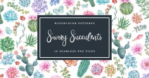 多肉植物手绘无缝图案纹样设计素材 Savory Succulents – Seamless Patterns