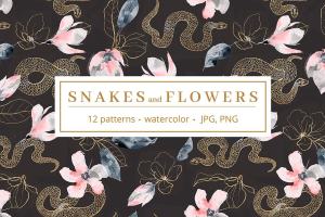 高贵品质的蛇&花卉水彩图案合集