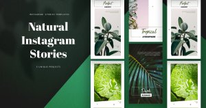 自然主题植物摄影Instagram故事社交媒体模板 Natural Instagram Stories