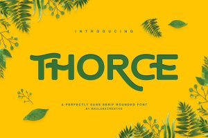 Thorce Rounded Sans字体 Thorce圆形 Sans Font