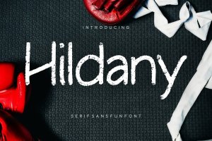 Hildany无衬线有趣字体 Hildany Sans Fun Font