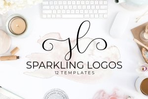 轻奢文艺风Logo商标设计模板 Sparkling Logo Templates