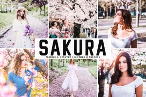 低饱和度柔和色调照片调色滤镜LR预设 Sakura Mobile & Desktop Lightroom Presets