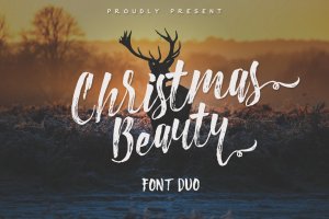 笔刷草书英文装饰设计字体下载 Christmas Beauty