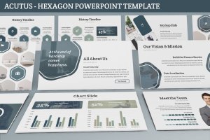 简约设计风格企业里程碑/企业宣传PPT模板下载 Acutus – Hexagon Powerpoint Template