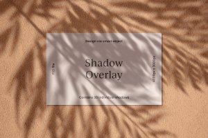 逼真植物阴影背景样机合集 Realistic Shadow Mock-Up Collection