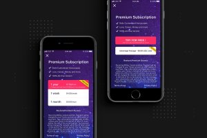 APP套餐订阅界面设计模板 Premium Subscription screen app template