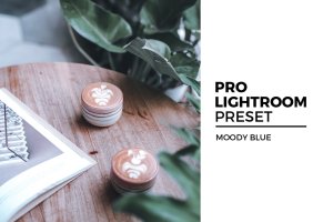 忧郁蓝照片后期调色LR预设 Moody Blue Lightroom Preset