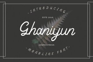 Monoline风格英文书法字体 Ghaniyun Monoline Font