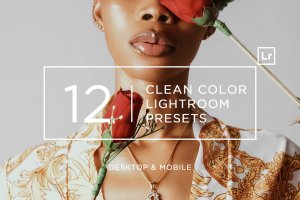 12种现代极简时尚VSCO风格LR调色预设 12 Clean Color Lightroom Presets + Mobile