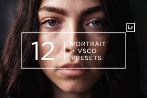 12款专业人像摄影美颜滤镜LR预设 12 Pro Portrait + VSCO Lightroom Presets