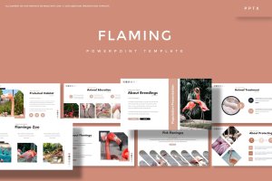 行业市场分析报告PPT设计模板 Flaming – Powerpoint Template