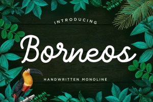 Monoline手写风格英文字体下载 Borneos – Monoline Handwriting