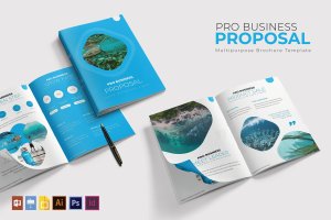 专业商业项目计划书版式设计模板 Pro Business | Proposal