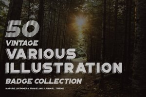 50个复古插画徽章收藏素材 50 Vintage Various Illustration Badge Collection