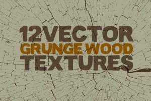 12个实木木纹矢量纹理背景素材 Vector Grunge Wood Textures x12