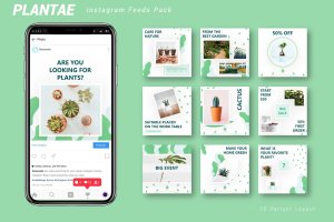 清新简约绿植Instagram故事社交贴图模板 Plantae – Instagram Feeds Pack