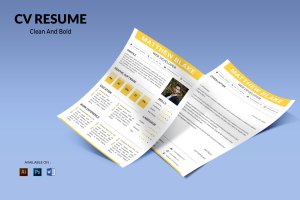 网站开发者简约履历表排版设计模板 CV Resume Simple And Professional