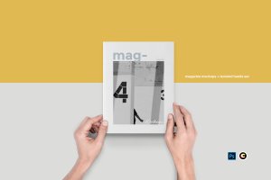 杂志图书封面印刷效果图样机 Magazine Mockups