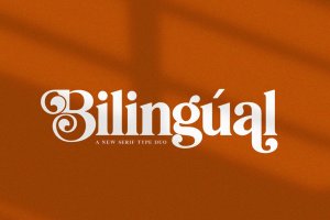 创意英文衬线字体二重奏 Bilingual Serif Font Duo