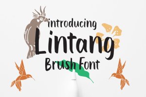 Logo/海报/服装/标签设计英文笔刷字体 Lintang – Brush Font